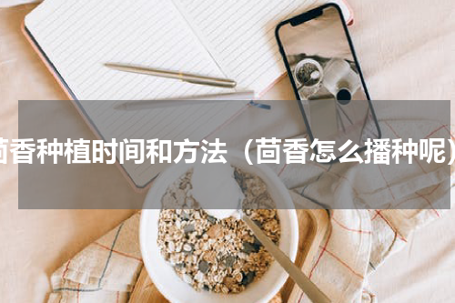 茴香种植时间和方法（茴香怎么播种呢）