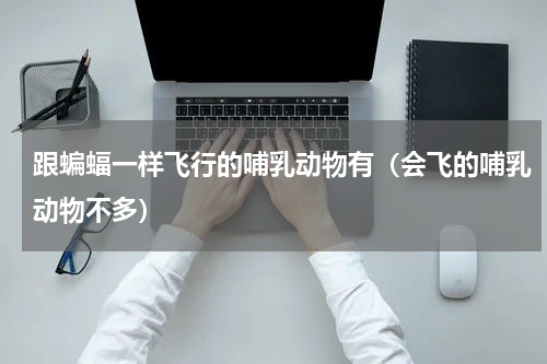 跟蝙蝠一样飞行的哺乳动物有（会飞的哺乳动物不多）