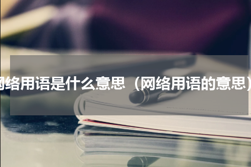 网络用语是什么意思（网络用语的意思）