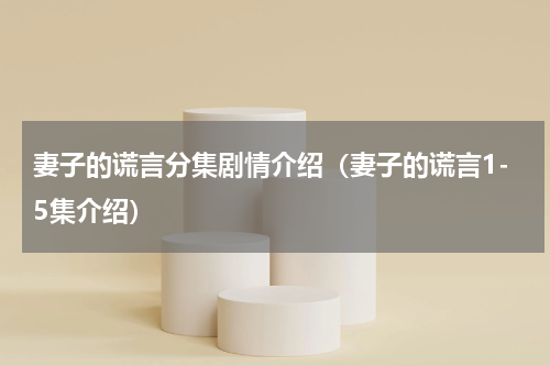 妻子的谎言分集剧情介绍（妻子的谎言1-5集介绍）