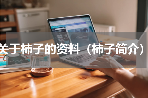 关于柿子的资料（柿子简介）
