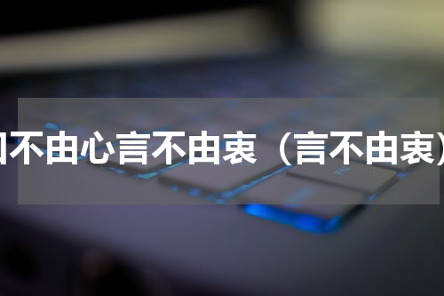 口不由心言不由衷（言不由衷）