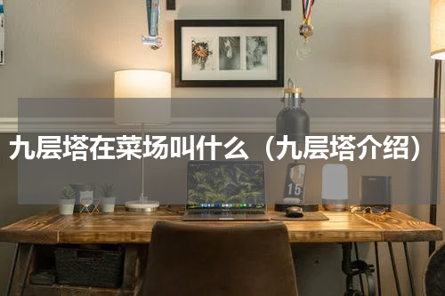九层塔在菜场叫什么（九层塔介绍）