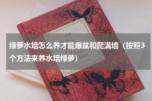 绿萝水培怎么养才能爆盆和爬满墙（按照3个方法来养水培绿萝）