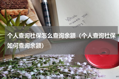 个人查询社保怎么查询余额（个人查询社保如何查询余额）