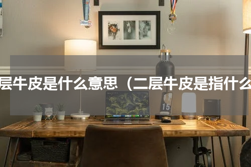 二层牛皮是什么意思（二层牛皮是指什么）
