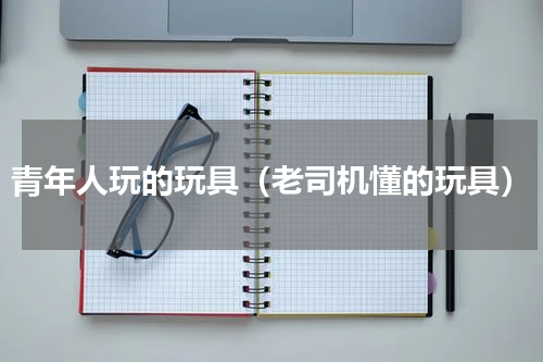青年人玩的玩具（老司机懂的玩具）