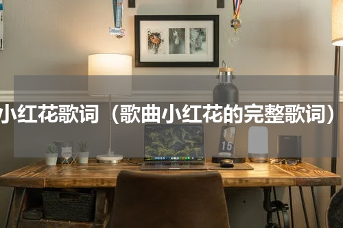 小红花歌词（歌曲小红花的完整歌词）