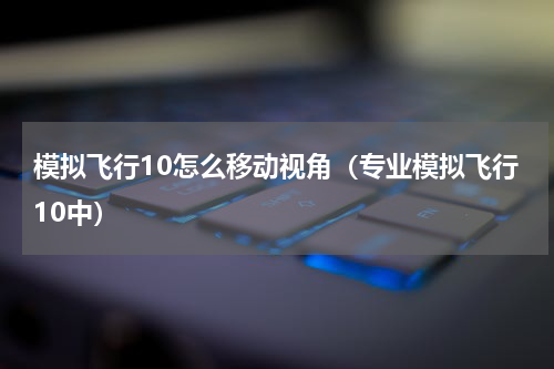 模拟飞行10怎么移动视角（专业模拟飞行10中）