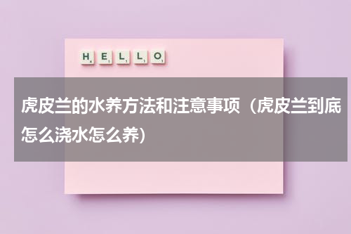 虎皮兰的水养方法和注意事项（虎皮兰到底怎么浇水怎么养）