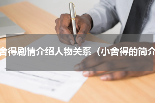 小舍得剧情介绍人物关系（小舍得的简介）
