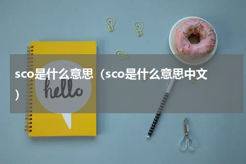 sco是什么意思（sco是什么意思中文）