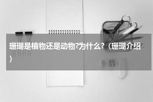 珊瑚是植物还是动物?为什么?（珊瑚介绍）