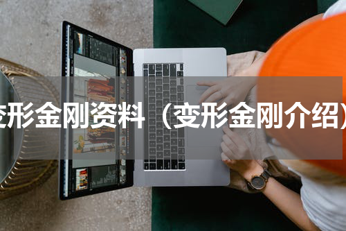 变形金刚资料（变形金刚介绍）