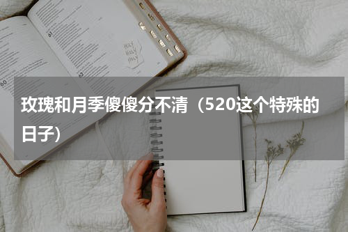玫瑰和月季傻傻分不清（520这个特殊的日子）