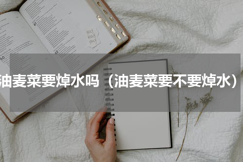 油麦菜要焯水吗（油麦菜要不要焯水）