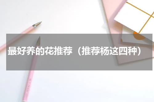 最好养的花推荐（推荐杨这四种）