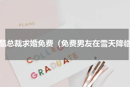 冷酷总裁求婚免费（免费男友在雪天降临）