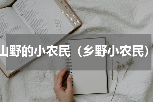 山野的小农民（乡野小农民）