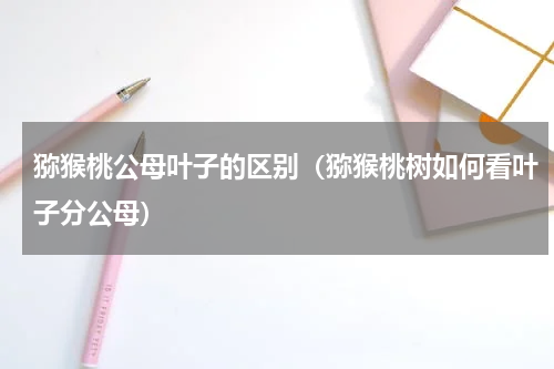 猕猴桃公母叶子的区别（猕猴桃树如何看叶子分公母）