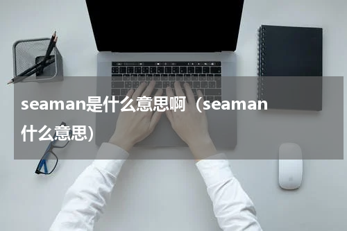 seaman是什么意思啊（seaman什么意思）