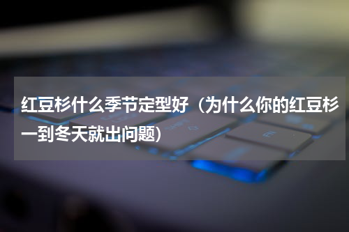 红豆杉什么季节定型好（为什么你的红豆杉一到冬天就出问题）