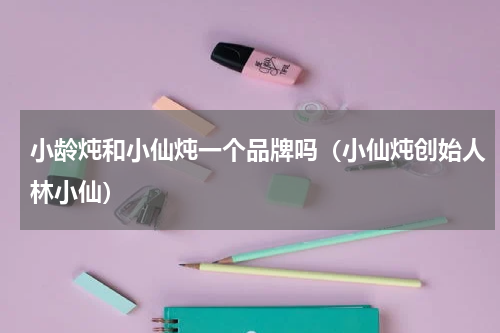 小龄炖和小仙炖一个品牌吗（小仙炖创始人林小仙）