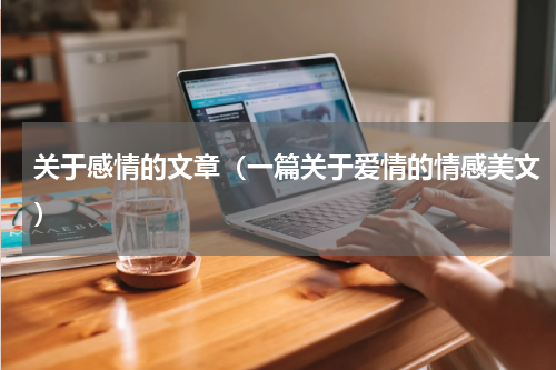 关于感情的文章（一篇关于爱情的情感美文）
