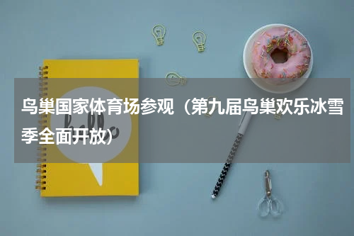 鸟巢国家体育场参观（第九届鸟巢欢乐冰雪季全面开放）