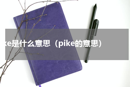 pike是什么意思（pike的意思）