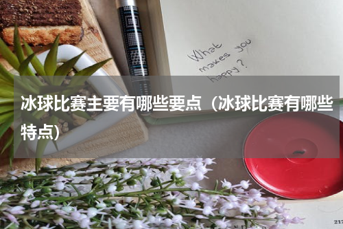 冰球比赛主要有哪些要点（冰球比赛有哪些特点）
