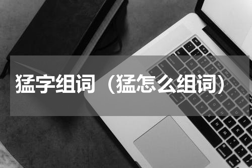 猛字组词（猛怎么组词）