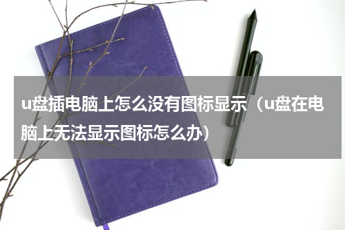 u盘插电脑上怎么没有图标显示（u盘在电脑上无法显示图标怎么办）