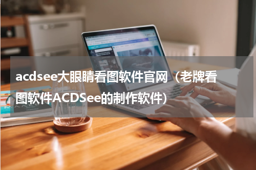 acdsee大眼睛看图软件官网（老牌看图软件ACDSee的制作软件）