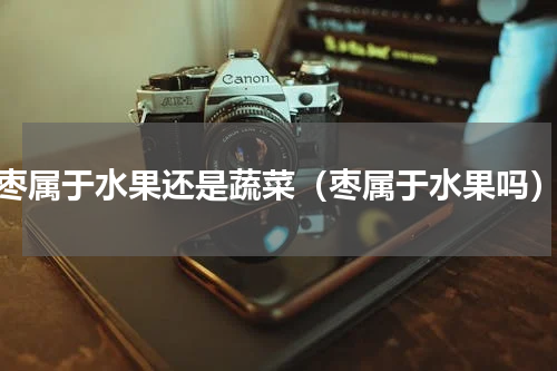 枣属于水果还是蔬菜（枣属于水果吗）