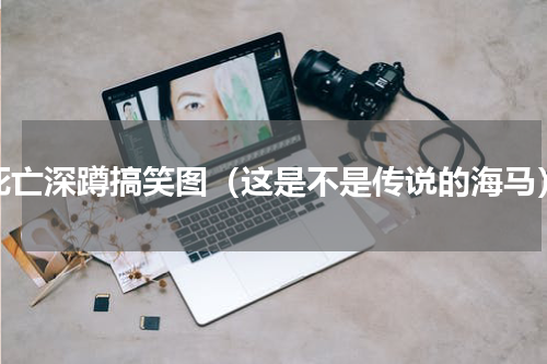 死亡深蹲搞笑图（这是不是传说的海马）