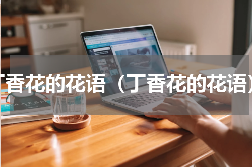 丁香花的花语（丁香花的花语）