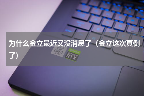 为什么金立最近又没消息了（金立这次真倒了）