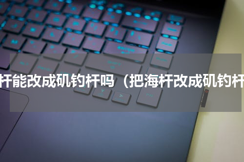 海杆能改成矶钓杆吗（把海杆改成矶钓杆）