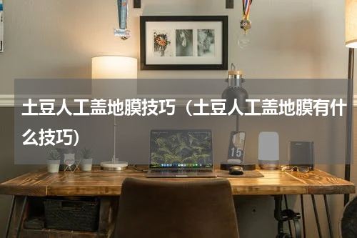 土豆人工盖地膜技巧（土豆人工盖地膜有什么技巧）