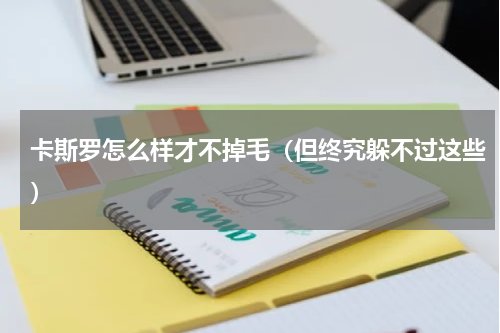 卡斯罗怎么样才不掉毛（但终究躲不过这些）