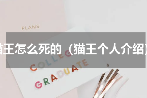 猫王怎么死的（猫王个人介绍）
