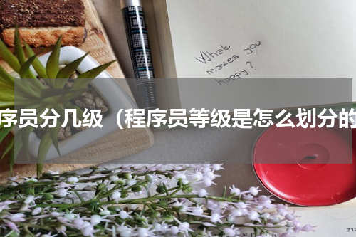 程序员分几级（程序员等级是怎么划分的）