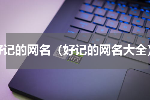 好记的网名（好记的网名大全）
