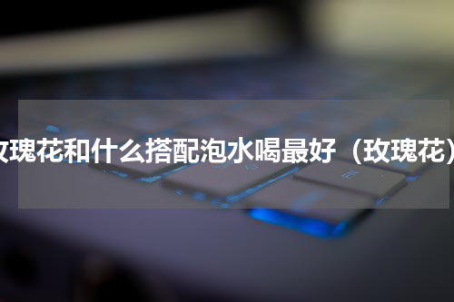 玫瑰花和什么搭配泡水喝最好（玫瑰花）
