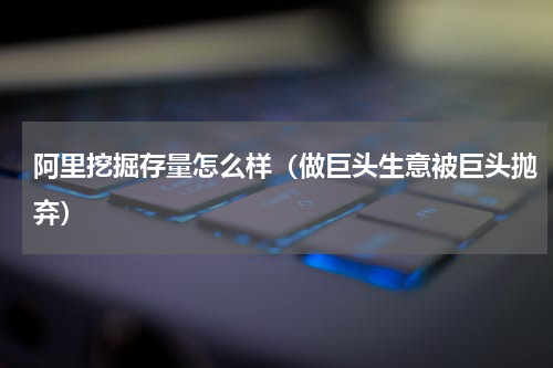 阿里挖掘存量怎么样（做巨头生意被巨头抛弃）