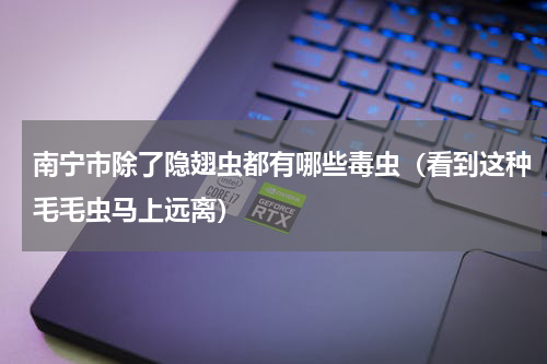南宁市除了隐翅虫都有哪些毒虫（看到这种毛毛虫马上远离）