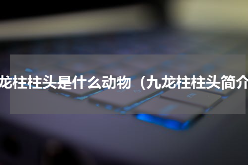 九龙柱柱头是什么动物（九龙柱柱头简介）