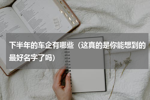 下半年的车企有哪些（这真的是你能想到的最好名字了吗）