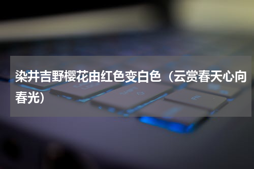 染井吉野樱花由红色变白色（云赏春天心向春光）